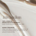 Load image into Gallery viewer, THE FACE SHOP Rice Ceramide Moisturising Cream 50ml
