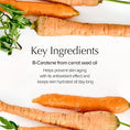 Load image into Gallery viewer, SKINFOOD Carrot Carotene Calming Water Pad 250g
