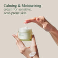 Load image into Gallery viewer, Pyunkang Yul Calming Cream 50ml
